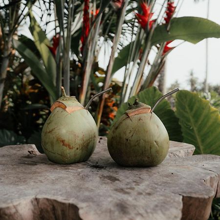 Desa Cabins Balian 外观 照片