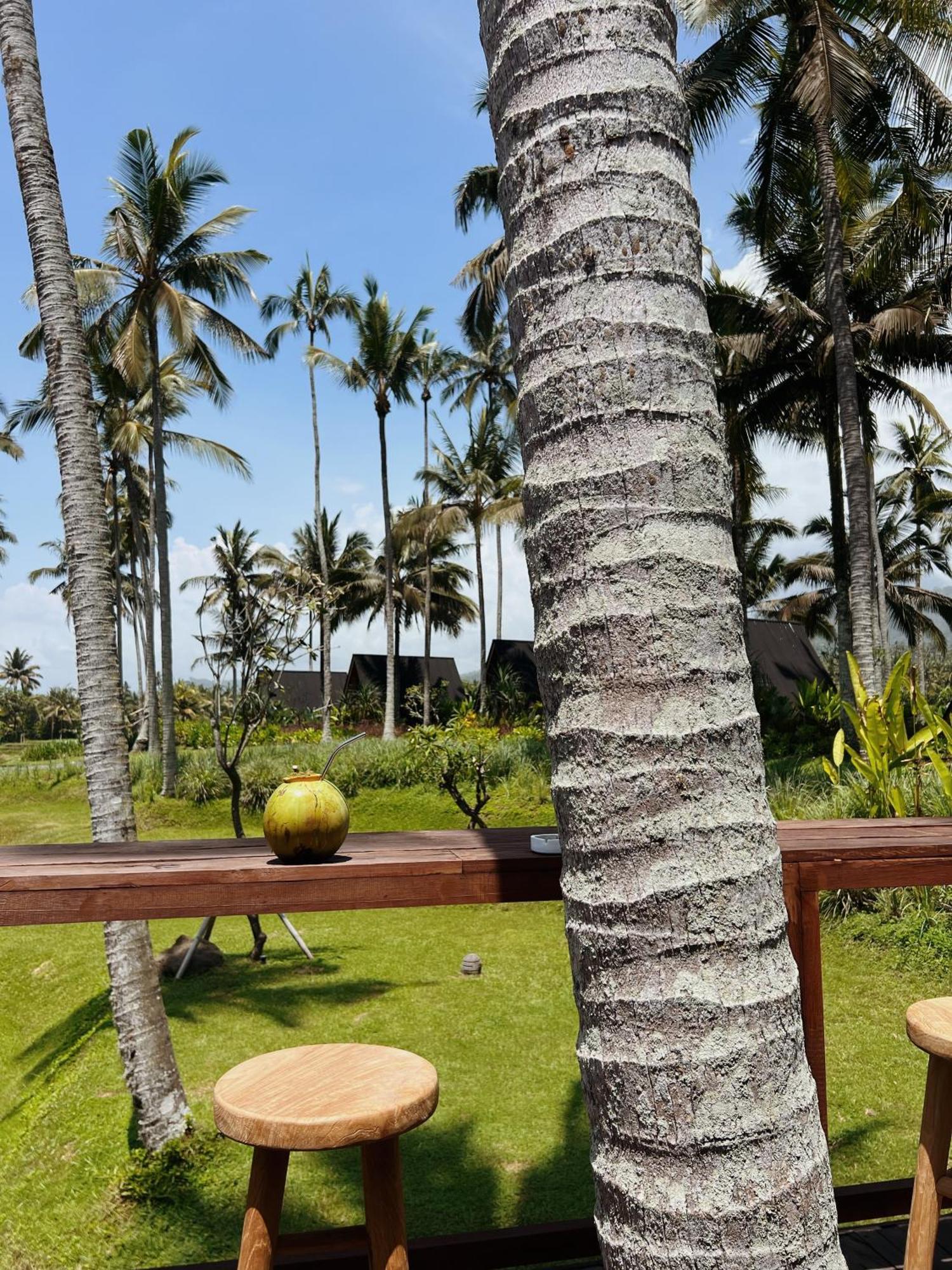 Desa Cabins Balian 外观 照片