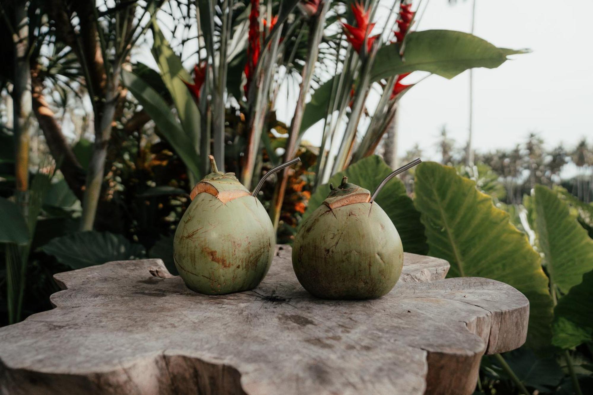 Desa Cabins Balian 外观 照片