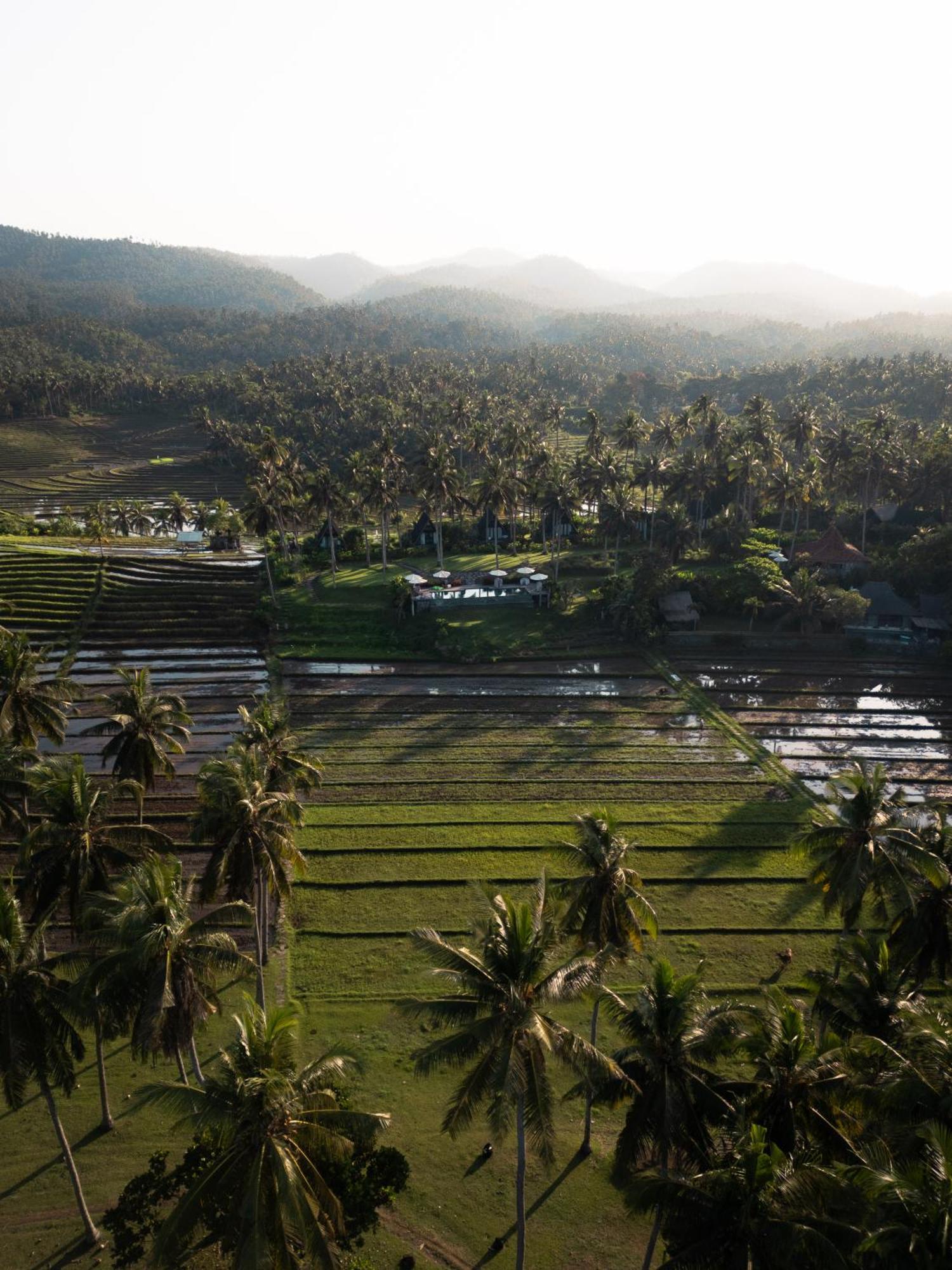 Desa Cabins Balian 外观 照片