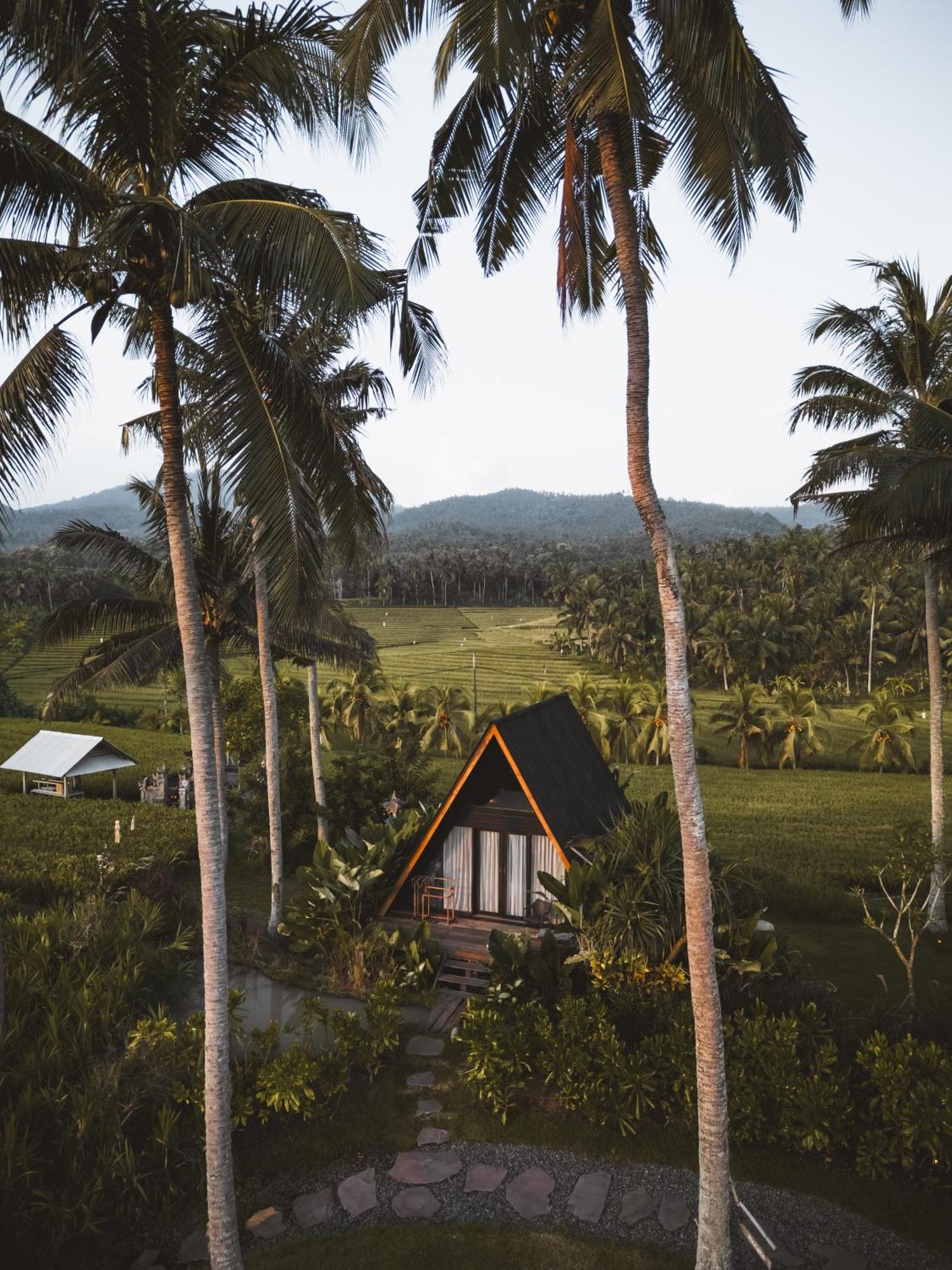 Desa Cabins Balian 外观 照片
